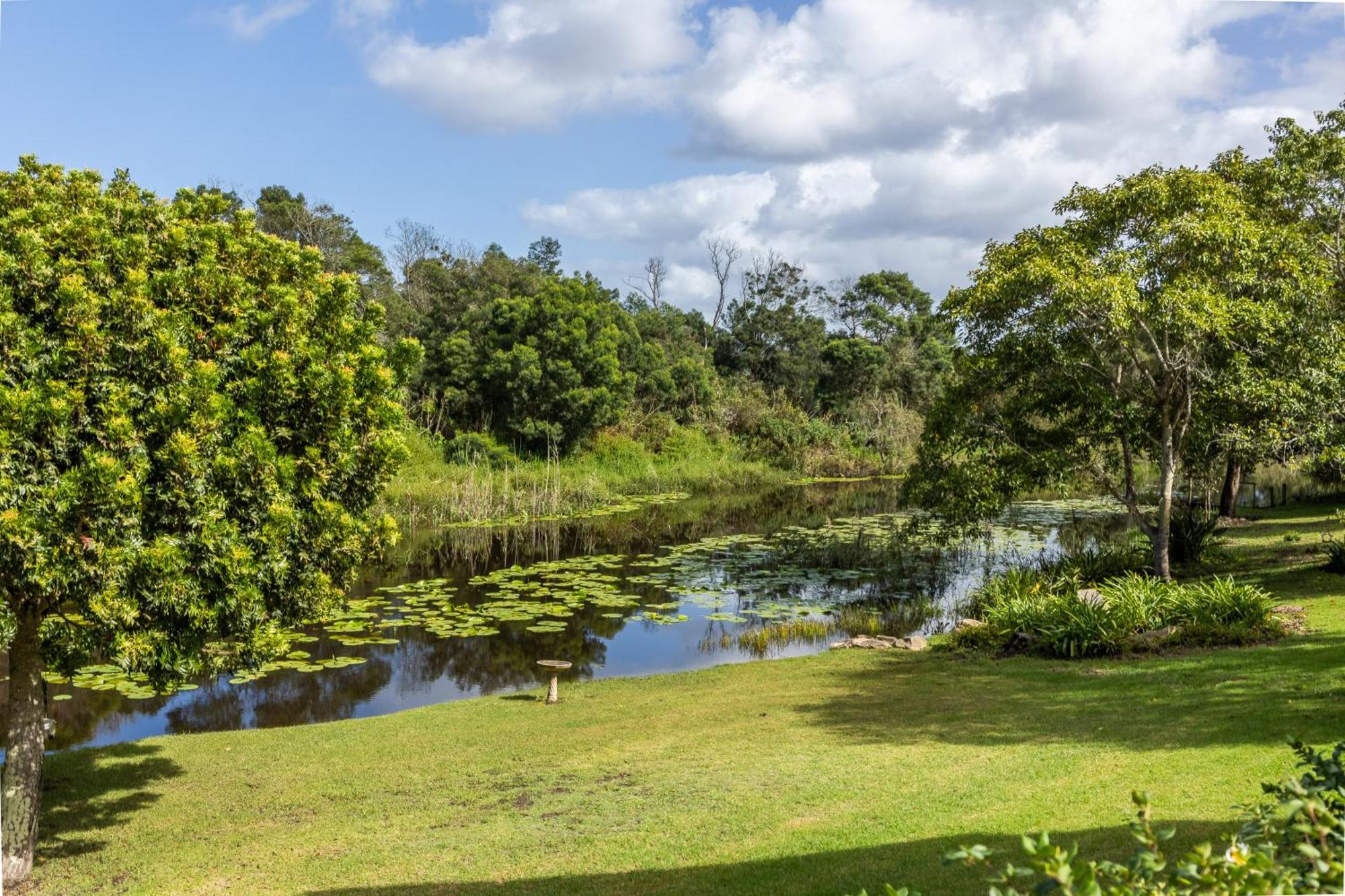 Bitou River Lodge Plettenberg Bay Extérieur photo